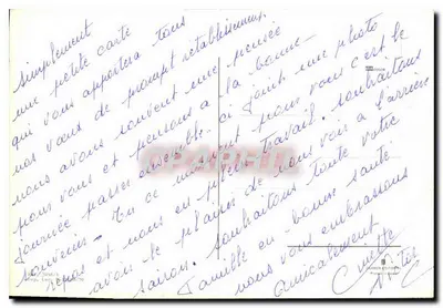 Żółte różany — fotografia — wydawca nieznany — Rewers