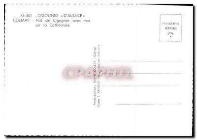 Colmar — Gniazdo kruków na katedrze — Wydawnictwo Collin — Rewers