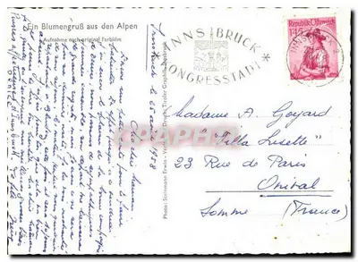 Arranjo de flores alpinas — Innsbruck, Áustria — Photo Steinmann Erwin, n° 145 — Verso
