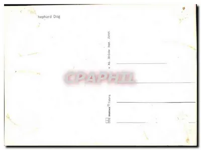 Cão pastoreiro alemão e gatinhos — editor TOPPAN AG, Zurique — Verso