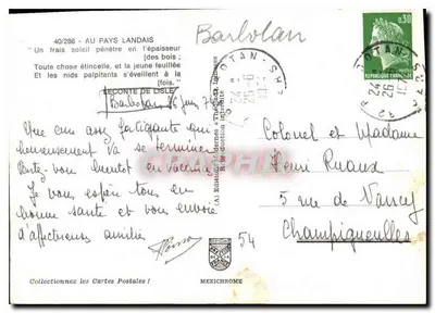 Carretera forestal en los Landes — En el País Landais — Ediciones Maldernes & Théophile — Reverso