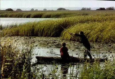 Sobre os canais — Parque Regional de Brière, Loire-Atlantique — Leicografia J. Guillard, n° 5425.9
