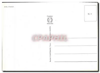 Jerba (Tunisja) — mężczyzna z kamlem przed białą moskeją — Spółka CARTHAGE, Tunis — Rewers