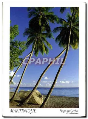 Praia de Carbet — Martinique — D. Mullane