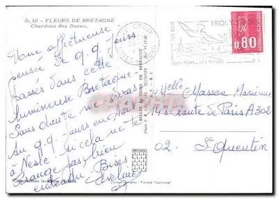 Chardony z Dune — Bretagne — Fot. Y. Candol - R.L. — Rewers