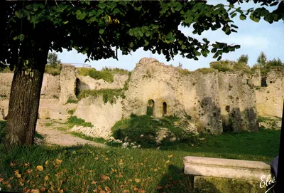 Blaye - As Ruínas do Castelo dos Rudel — quadro do Teatro da Natureza — Editor Élécé, n° 3510