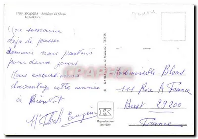 Dançarina egípcia — espetáculo folclórico — Skanes - Residência El Shem, Tunísia — Verso