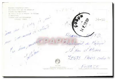 伊斯坦布尔 — 加拉塔港 — Kortpostal Limited Zicken — 背面