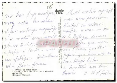 Blauwe Dodehoofd of Panicaut — Directe Uitgaven van Ektaachrom (Savoie) — n° 1.902 bis — Achterkant