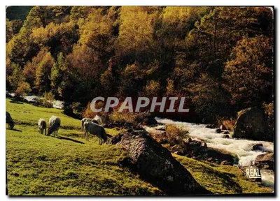 Outono no Ariège — Cores naturais — Coleção René, Ax-les-Thermes