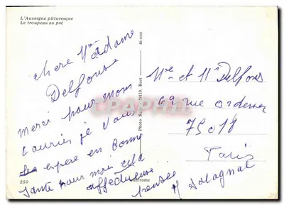 A Auvergne pitoresca — O rebanho no campo — Foto Sully n° 46-000 — Verso