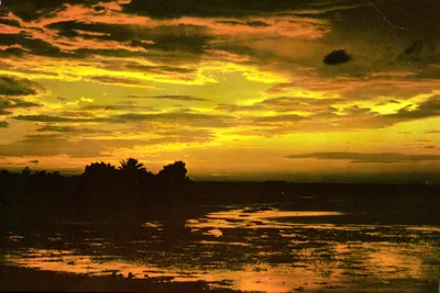 Costa Mediterrânea — Crepúsculo na margem — Edições de Arte Larrey, n°725