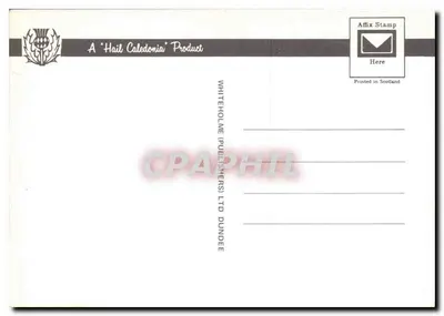 FORFAR · The Little Causeway — editor Whiteholme Publishers Ltd Dundee, n° de série 5611W — Verso