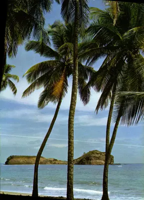Martinica - Sainte-Marie — A ilha de Sainte-Marie — Éditions Félix ROSE-ROSETTE, n°194