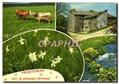 Primavera no plateau cévenol — Edições J. Cellart, n° A.49123