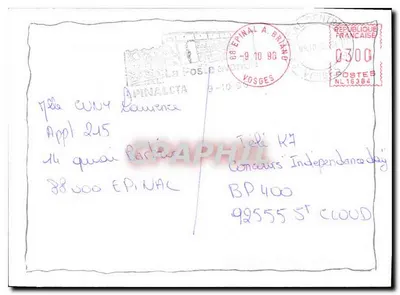 Figos e folhas secas — composição artística — Verso