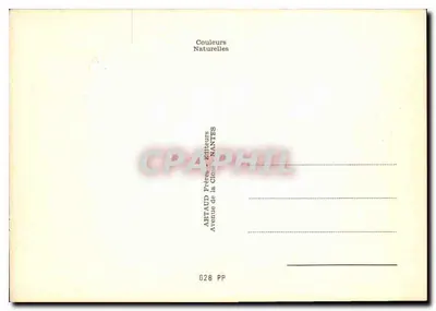 Chimpanzé — em um cenário de madeira — editor APTAUD, Nantes, n° 628 PP — Verso