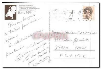 Pejzaż tulipanów w Holandii — wydawca nie podany, numer serii nie widoczny — Rewers