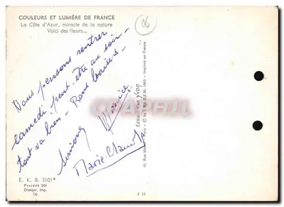 पारंपरिक वस्त्र में एक महिला मिमोजा के फूलों के बीच — एडिशन यवॉन, 1952 — पीछे