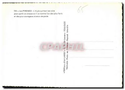 Pyrreny — Orzeł opuszcza gniazdo, by udać się na polowanie, gdzie pokazuje się jednym z najbardziej odważnych i silnych ptaków drapieżnych — Wydawnictwo Sztuki Larrey, Toulouse — Rewers