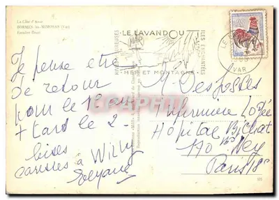 Raias do Ardeche — Escada florida — Verso
