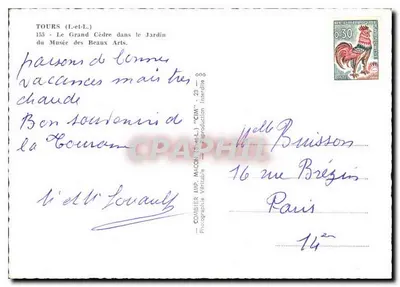 Tours (L.-et-L.) — Duży Cedr w Ogródku Muzeum Sztuki — Combier Imp. Macon — Rewers