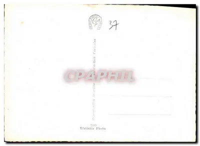 Locches (Loir-et-Cher) — Torre Saint-Antoine e Castelo, vistos da Índia — Gamy — Verso