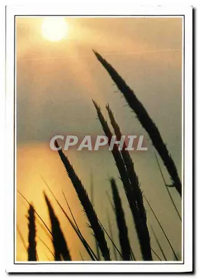 Silhuetas de trigo ao sol — n° S 639 — Éditions Dubray