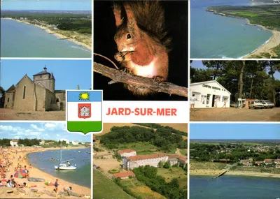 Jard-sur-Mer — vista panorâmica e animal — ARGAUD Frères