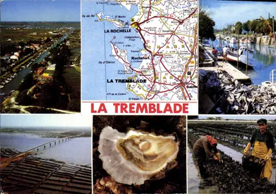 La Tremblade — Carta postal turística com vista aérea, mapa rodoviário e atividades de pesca — Editor: La Tremblade Tourisme, n°103