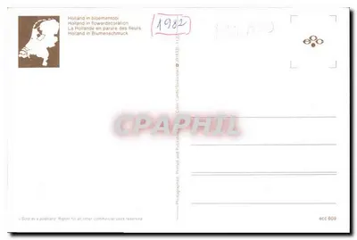 Champ de tulipes colorées — Hollande — éditeur ecc 609 — Rewers