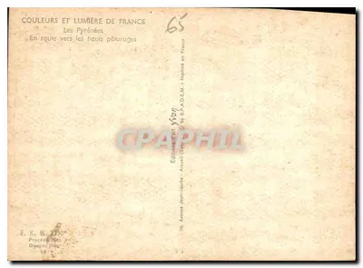 Bilhete postal moderno Cores e Luz da França Os Pirineus Em direção aos altos pastos Vacas — Verso