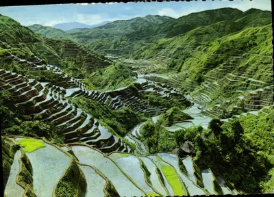 As terras de arroz de Banaue — Filipinas — editor Raphaël, série 1781