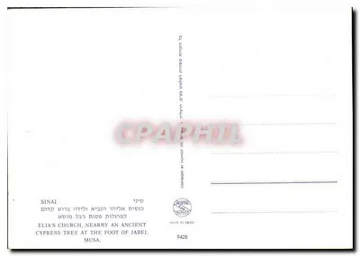 Sinai — Igreja de Elias e cipreste antigo perto de Jabel Musa — 9428 — Verso