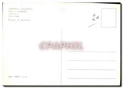 Borovetz — Aleja — H. Mironovski — Rewers