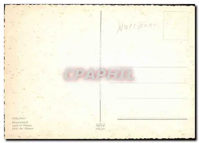 Jardim floral com tulipas — Hollande — editor Kallius, n° 316/331 — Verso