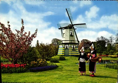 Paisagem holandesa — moinho de vento e flores — editor Kollwitz, n° 905/52