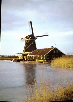 De Zaanse Schans — Vermolen "De Kat"