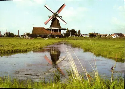 De Zaanse Schans — « De Kat » — DE ZAANSE SCHANS