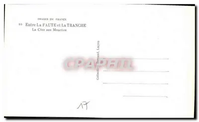 La Côte aux Mouettes — Między La Faute a La Tranche — Zbiór Barraud, Luçon — Rewers