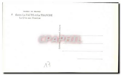 View of the Seaside with Gulls — Between La Faute and La Tranche — Publisher: Images de France, n°8 — Back