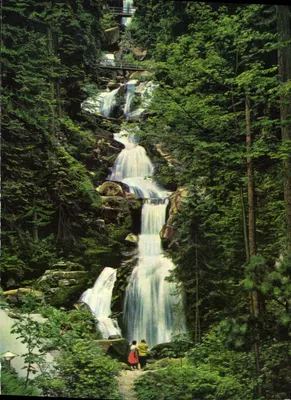 Träberg no Schwarzwald — 7 cachoeiras — n° 100045
