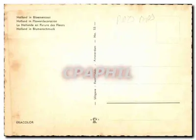 Pola tulipanów w Amsterdamie — Wydawca ERACOLOR, seria nr 53 — Rewers