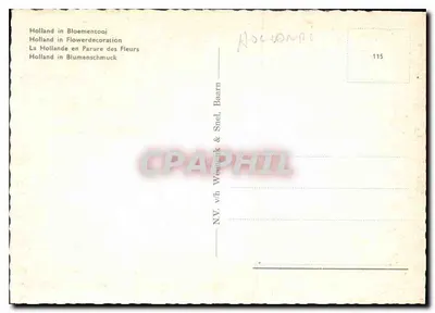 Paisaż holenderski — młyn wiatrowy i tulipany — N.V. v/h Weenink & Snel, Baarn — Rewers