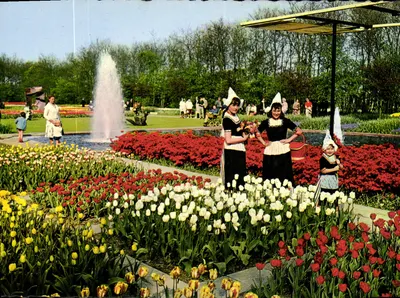 Hollande em Parure das Flores — Paisagem de tulipas e fonte — Edição Vita Monza, Schiedam