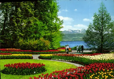 Jardim de tulipas no lago de Constança — editor bodan, série 7757