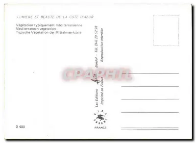 Palmier e flores — Lembrete da Costa Azul — Les Éditions Chrone, n° 0 400 — Verso
