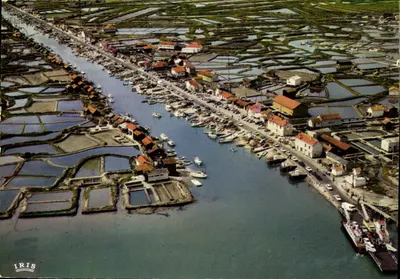 O porto, os parques de ostras — La Tremblade (Charente-Maritime) — Edições Modernas « Théoljas », Foto Beaulard, n°4