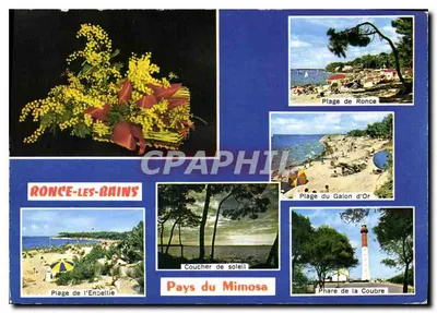 Ronce-les-Bains — País do Mimosa — Artaut Editores