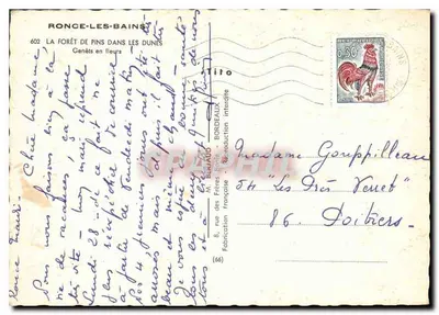 Ronce-les-Bains — A floresta de pinheiros nas dunas — Genêts em flor — Frères Berhaud, n°602 — Verso